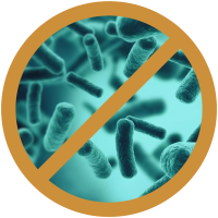 no_bacteria